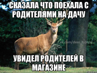 Сказала что поехала с родителями на дачу Увидел родителей в магазине