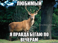 любимый я правда бегаю по вечерам