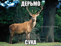 дерьмо сука