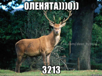 Оленята)))0)) 3213