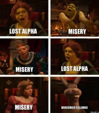 LOST ALPHA MISERY MISERY MISERY LOST ALPHA NARODNAJA SOLJANKA