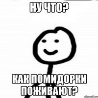 ну что? как помидорки поживают?