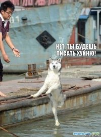  Нет, ты будешь писать хуйню!