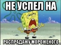 Не успел на распрадажу мороженого