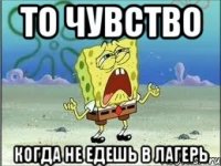 то чувство когда не едешь в лагерь