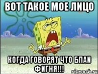 Вот такое мое лицо когда говорят что БПАN фигня!!!