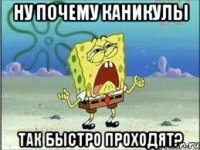 Ну почему каникулы так быстро проходят?