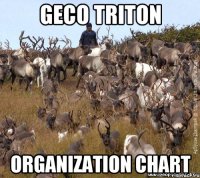 Geco Triton Organization chart