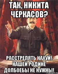 так, Никита Черкасов? расстрелять нахуй! нашей родине долбоебы не нужны!