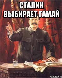 Сталин выбирает Гамай 