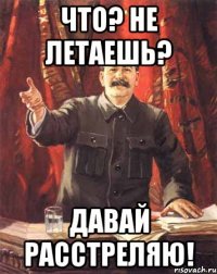 Что? Не летаешь? Давай расстреляю!