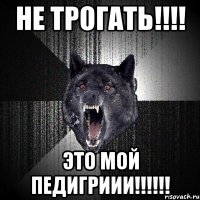 не трогать!!!! это мой педигриии!!!!!!