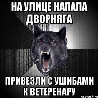 на улице напала дворняга привезли с ушибами к ветеренару