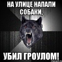 На улице напали собаки, убил гроулом!