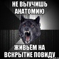 Не выучишь анатомию Живьём на вскрытие повиду