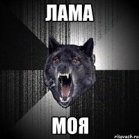 ЛАМА МОЯ