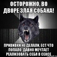 Осторожно, во дворе злая собака! Прививки не делали, ест что попало. Давно мечтает реализовать себя в сексе