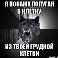 Я ПОСАЖУ ПОПУГАЯ В КЛЕТКУ ИЗ ТВОЕЙ ГРУДНОЙ КЛЕТКИ