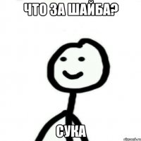 что за шайба? сука