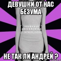 Девушки от нас безума не так ли Андрей ?