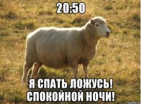 20:50 Я спать ложусь! Спокойной ночи!