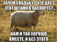 Зачем свадьбу? Что даст этот штамп в паспорте? Нам и так хорошо вместе, и без этого