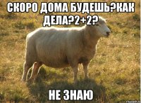 Скоро дома будешь?Как дела?2+2? не знаю