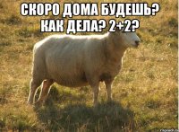 Скоро дома будешь? Как дела? 2+2? 