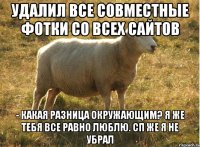 Удалил все совместные фотки со всех сайтов - Какая разница окружающим? Я же тебя все равно люблю. СП же я не убрал