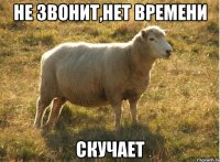 Не звонит,нет времени скучает