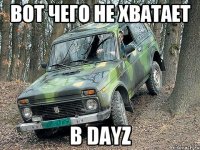 Вот чего не хватает в DayZ