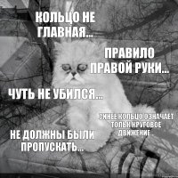 кольцо не главная... правило правой руки... чуть не убился... синее кольцо означает тольк круговое движение... не должны были пропускать...