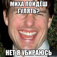 Миха пойдёш гулять? Нет я убираюсь