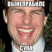 ВЫНЕПРАБИЛЕ СУКА