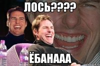 Лось???? Ёбанааа