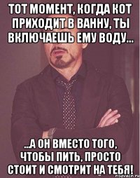 Тот момент, когда кот приходит в ванну, ты включаешь ему воду... ...а он вместо того, чтобы пить, просто стоит и смотрит на тебя!