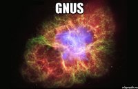 GNUS 