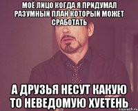 моё лицо когда я придумал разумный план который может сработать а друзья несут какую то неведомую хуетень