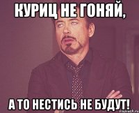 Куриц не гоняй, а то нестись не будут!