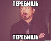 ТЕРЕБИШЬ ТЕРЕБИШЬ