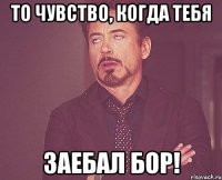 То чувство, когда тебя заебал БОР!