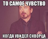 То самое чувство Когда увидел скворца