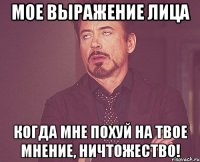 Мое выражение лица когда мне похуй на твое мнение, ничтожество!