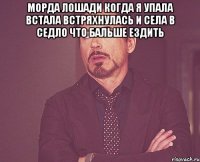 морда лошади когда я упала встала встряхнулась и села в седло что бальше ездить 