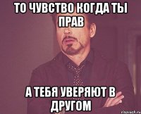 ТО чувство когда ты прав а тебя уверяют в другом