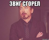 Звиг сгорел 