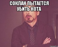 Соклан пытается убить кота 