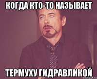 когда кто-то называет термуху ГИДРАВЛИКОЙ