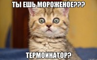 Ты ешь мороженое??? Термоинатор?