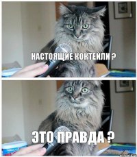 Настоящие коктейли ? Это правда ?